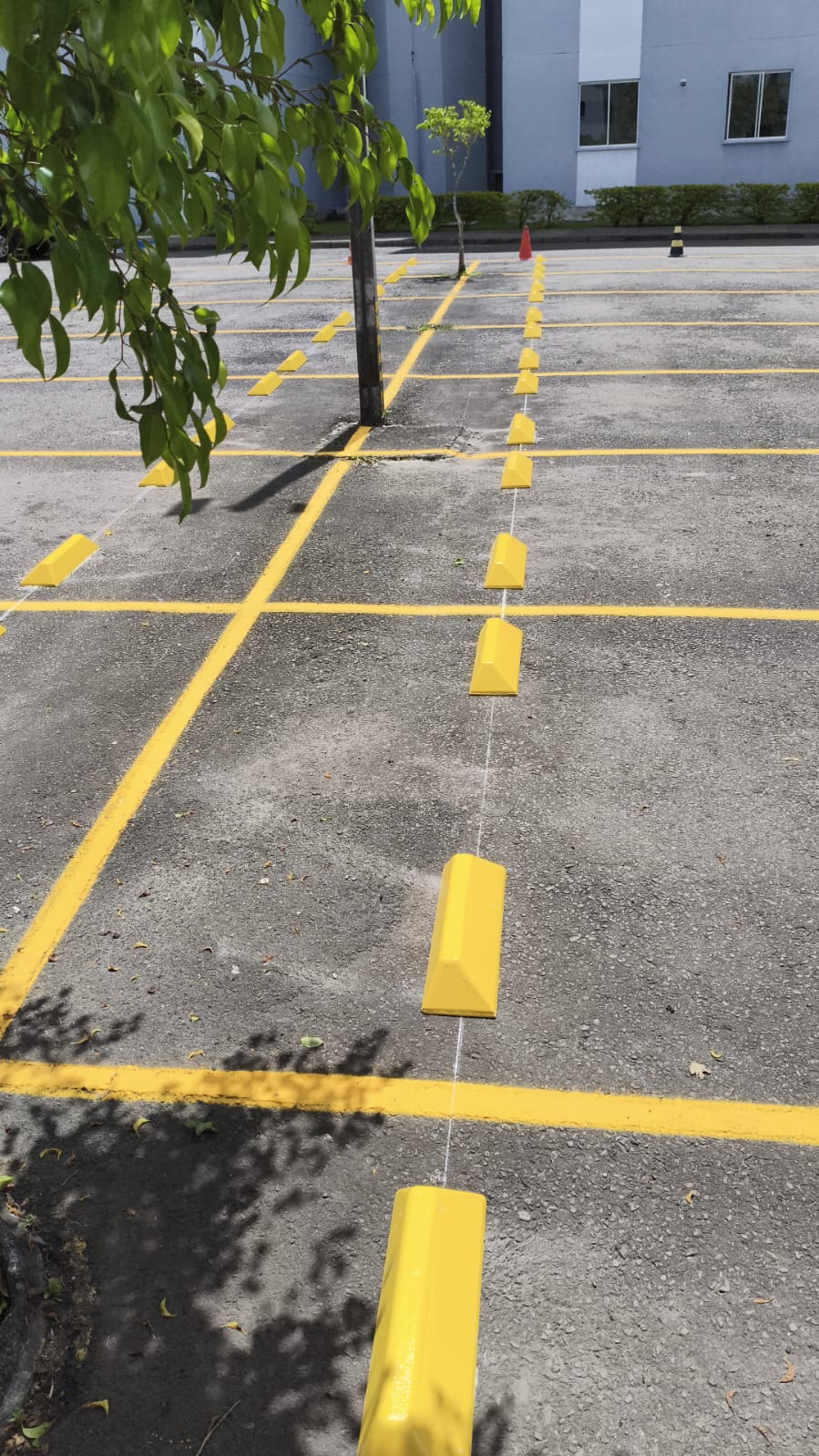 Tachões 2